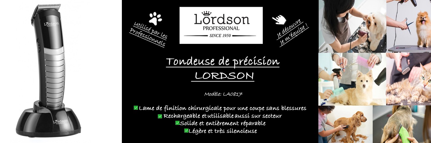 Tondeuse précision LORDSON